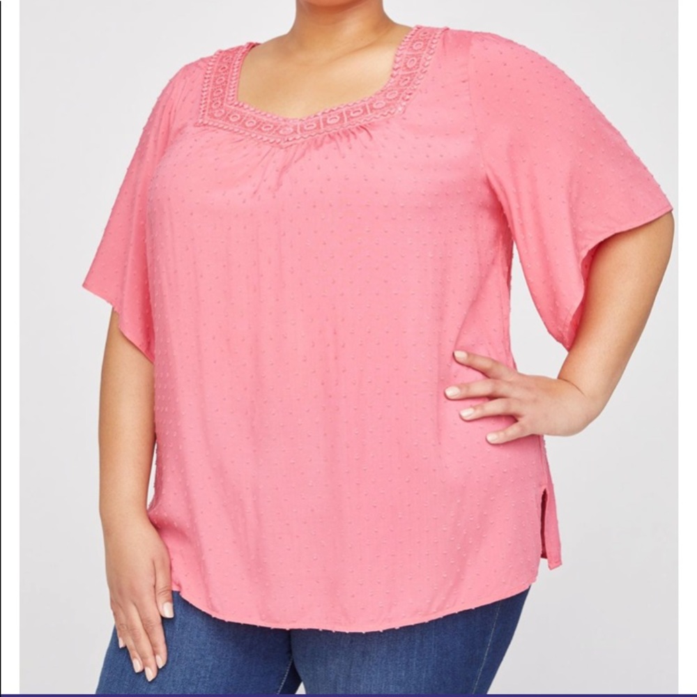 Catherine’s Orchard Hill Top